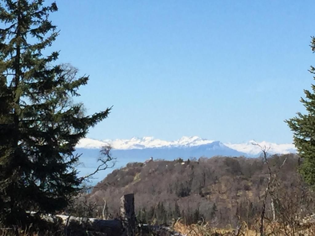 16424 Happy O Ave, Ninilchik, AK 99639